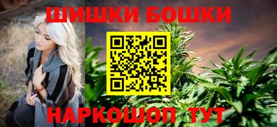 стаф Ставрополь