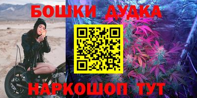 стаф Ставрополь