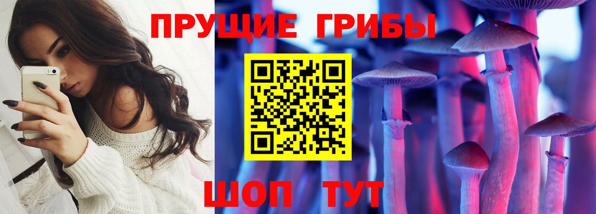 Бахчисарай  Псилоцибиновые грибы мухоморы  Вход с VPN  Псилоцибиновые грибы Magic Shrooms 